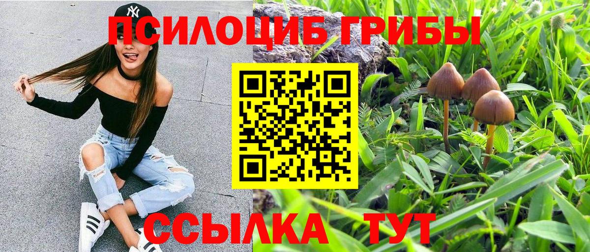 Галлюциногенные грибы Psilocybe Воронеж