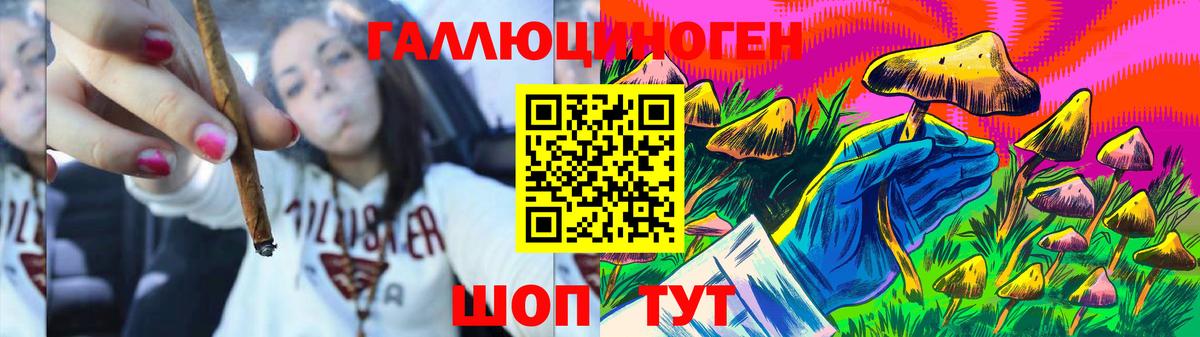 Воронеж  Галлюциногенные грибы GOLDEN TEACHER  Вход с VPN  Псилоцибиновые грибы Psilocybine cubensis 